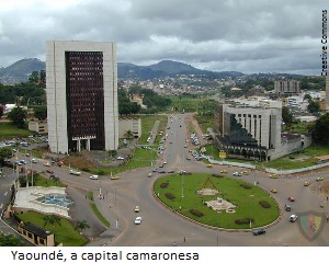 CURIOSIDADES-CAMARÕES