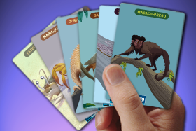 PDF Flashcards Bichos do Rio