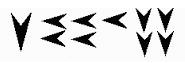 tec cuneiformes