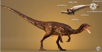 dino buriolestes4