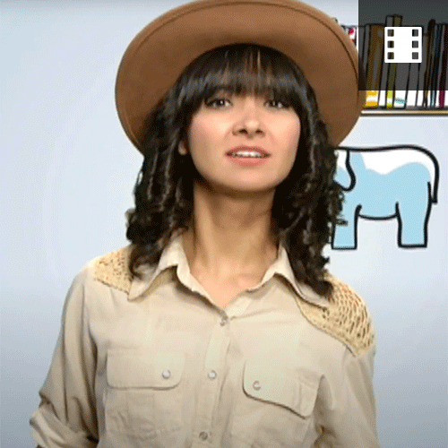 Arqueologia ou bancando o Indiana Jones