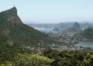 Mata Atlântica: o bioma do Rio de Janeiro