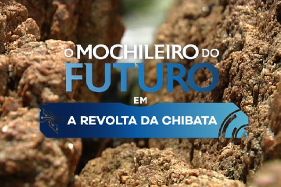 <em>O Mochileiro do Futuro</em> estreia na MultiRio