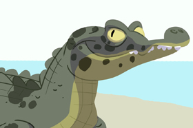 Jacaré-de-papo-amarelo (<em>Caiman latirostris</em>)
