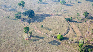Geoglifos atualizam a história da Amazônia