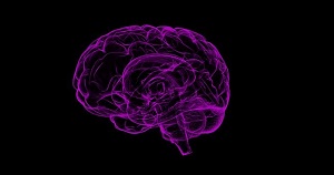 Funções executivas cerebrais