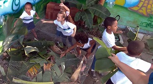 Semana do meio ambiente sensibiliza comunidade escolar