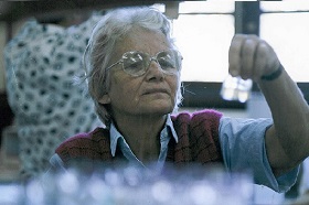 Johanna Döbereiner, uma pioneira da agricultura sustentável