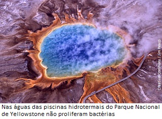 CURIOSIDADES-EUA
