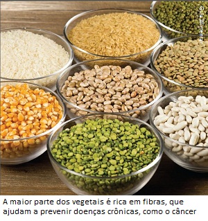 fibras